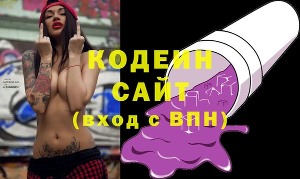 амф Гусиноозёрск