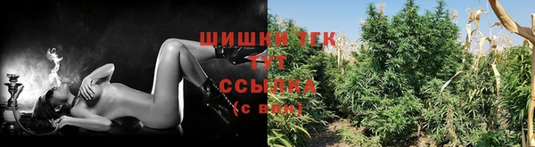кристаллы Гусь-Хрустальный