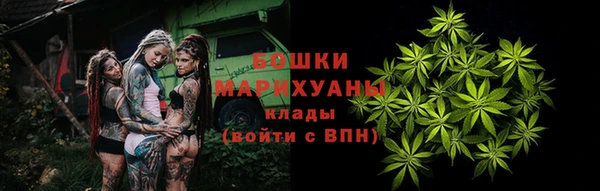 ПСИЛОЦИБИНОВЫЕ ГРИБЫ Алапаевск