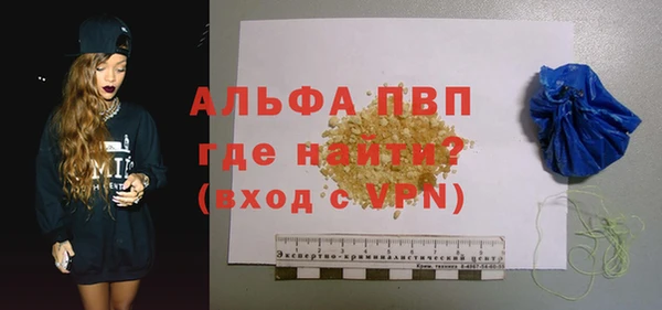 амф Гусиноозёрск