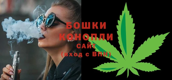 apvp Алагир