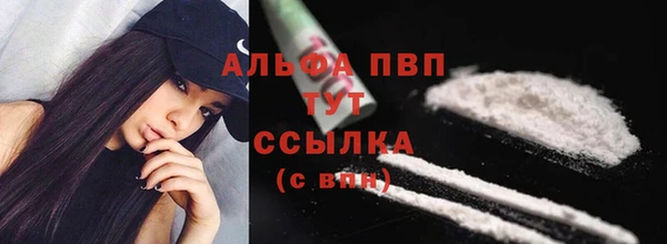 амф Гусиноозёрск