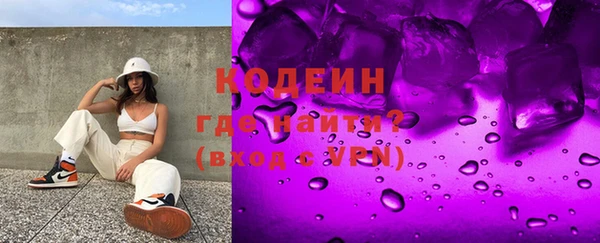 амф Гусиноозёрск
