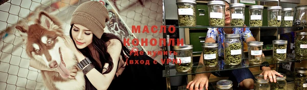 амф Гусиноозёрск